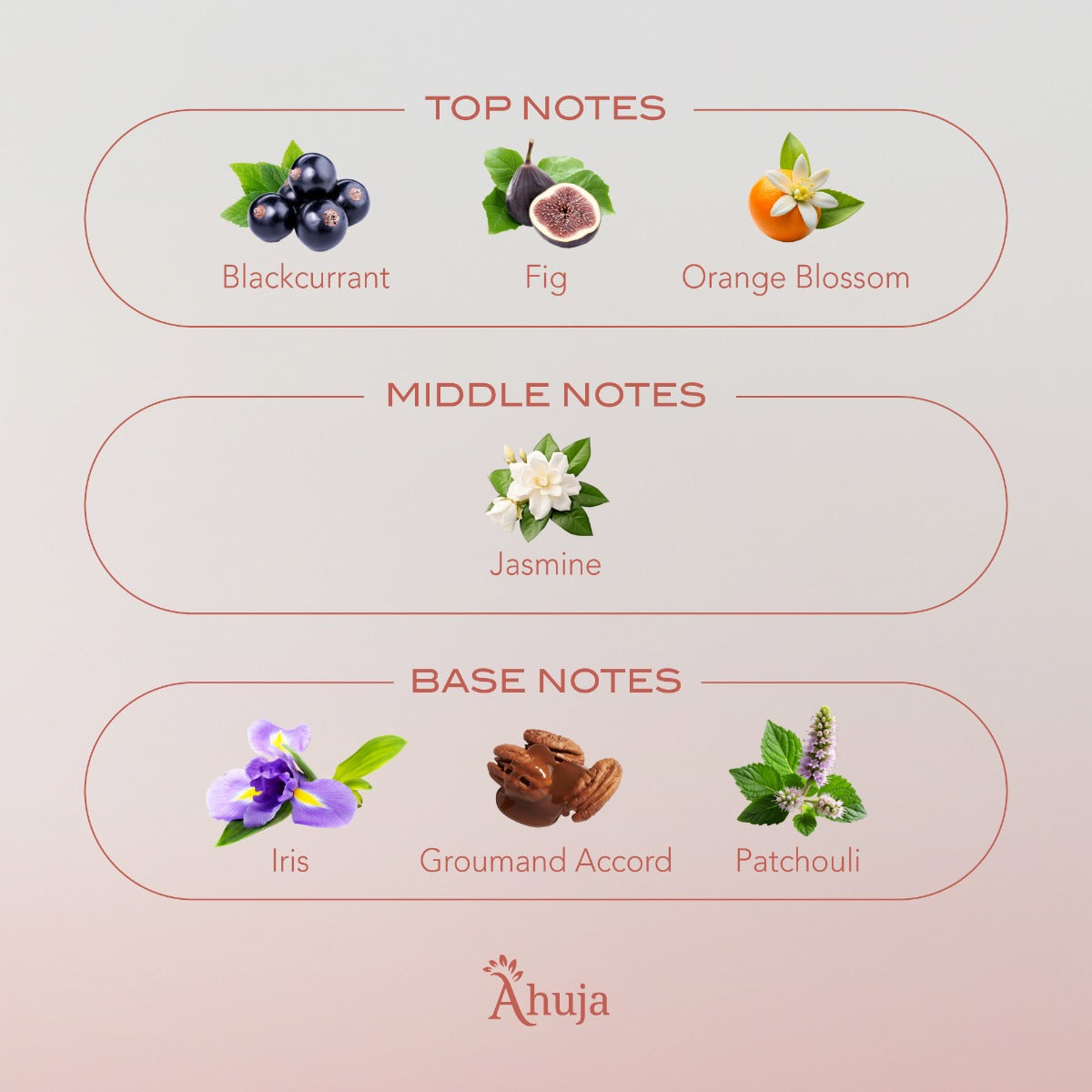 Ahuja Pour Femme by Ahuja's for Women