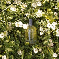 Patchouli