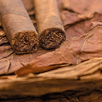 Tobacco absolute 