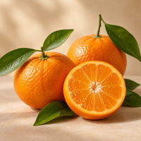 Mandarin
