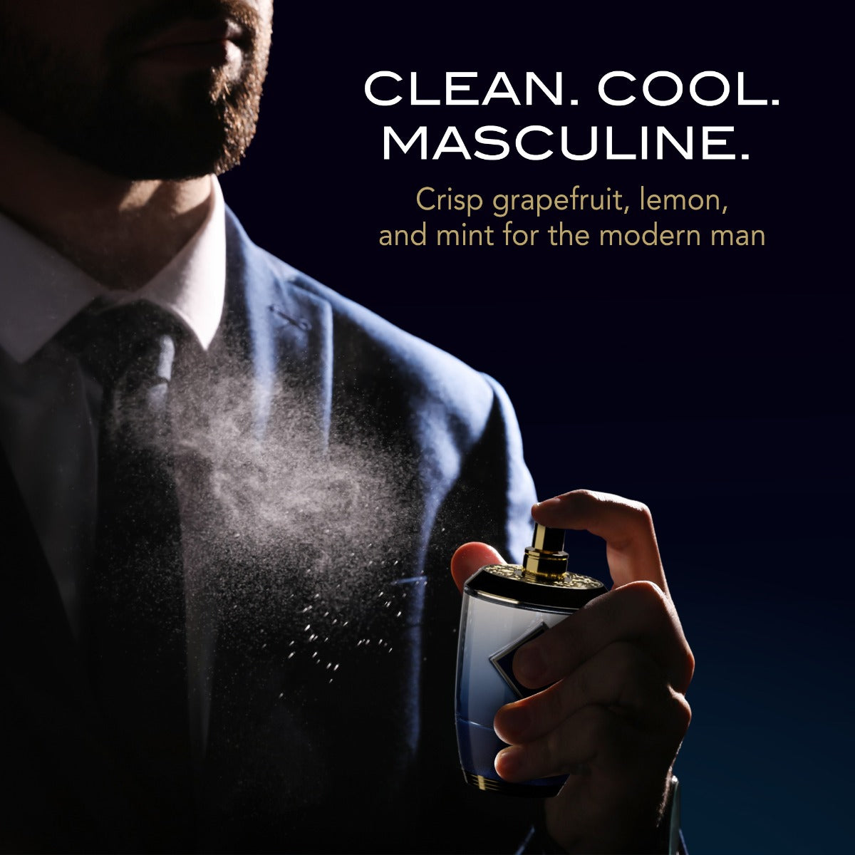 Ahuja Royale Bleu by Ahuja for Men