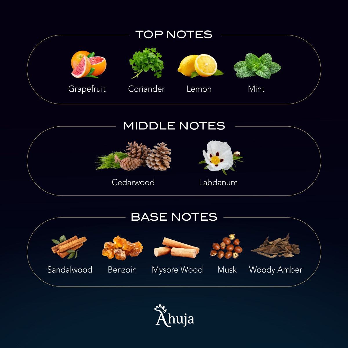 Ahuja Royale Bleu by Ahuja for Men